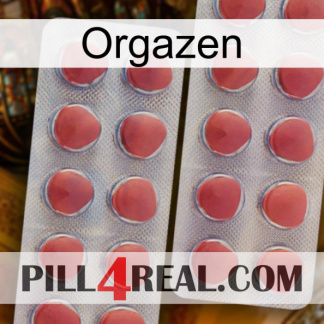 Orgazen 19